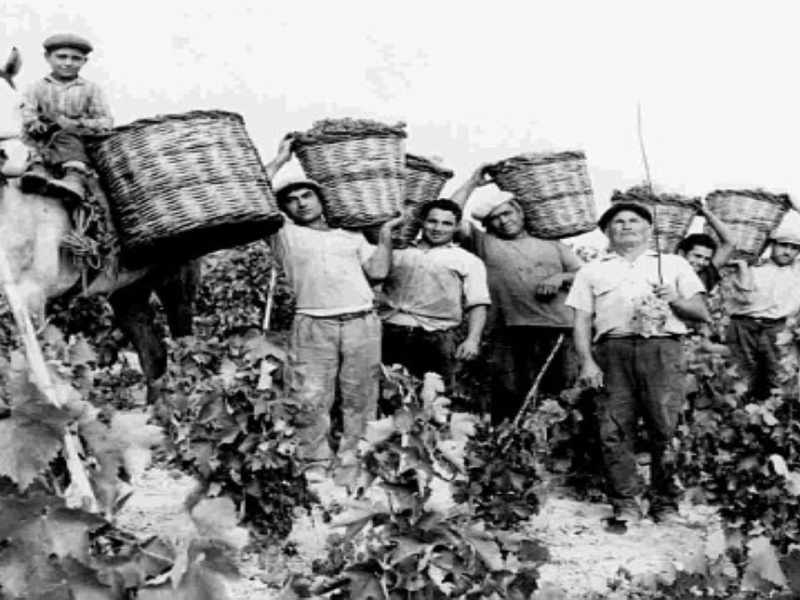 1° maggio 1891, nasce a Catania il primo Fascio dei lavoratori